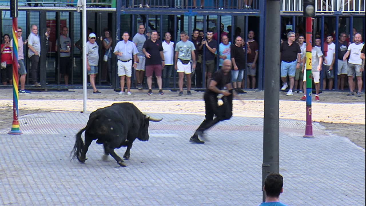 1 TORO TARDE 10 SEP 2019