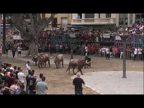 2 TORO TARDE 14 SEP 2019