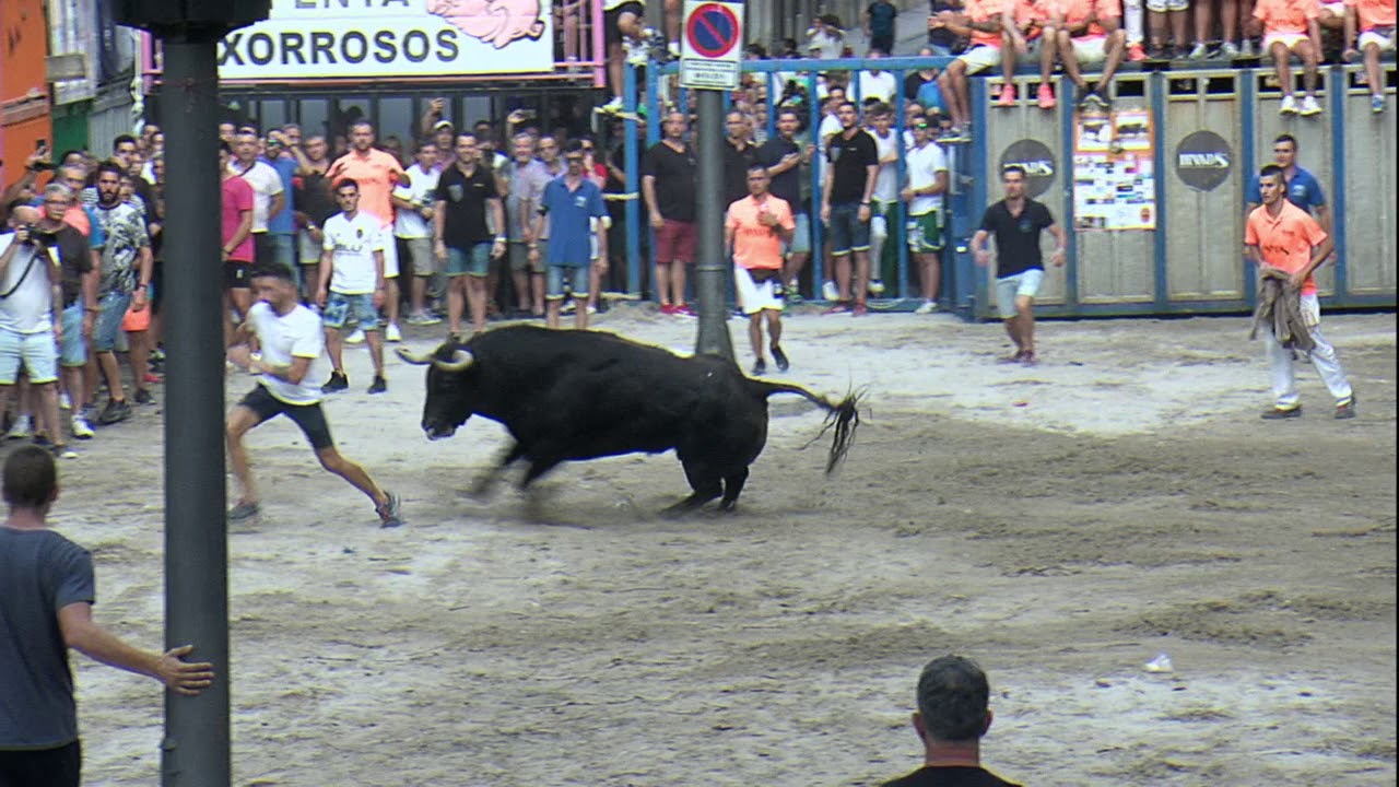 2 TORO TARDE 9 SEP 2019