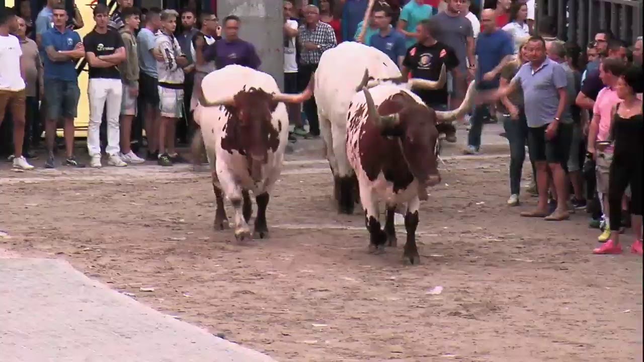 3 TORO TARDE 12 SEP 2019